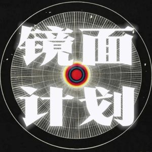 镜面计划