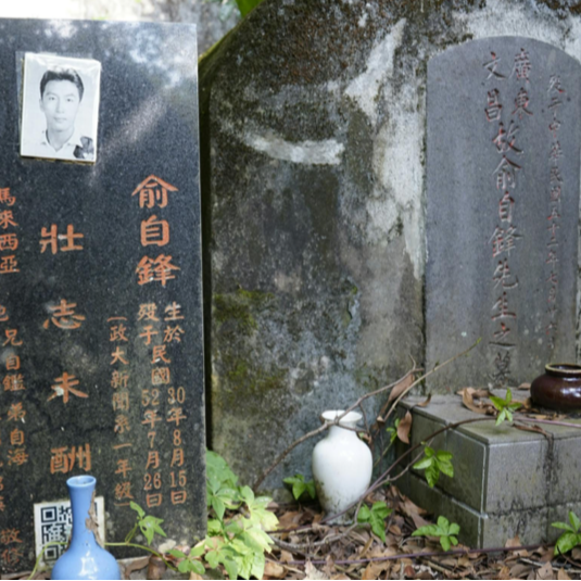 15.1963年，在台马来亚“侨生”俞自锋“自杀案”至今无果 episode artwork