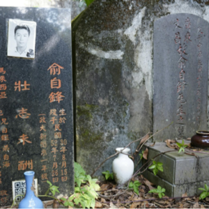 15.1963年，在台马来亚“侨生”俞自锋“自杀案”至今无果