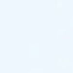 企鹅今天要上课