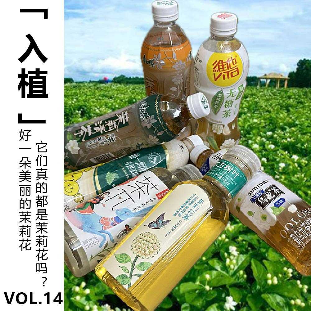 cover of episode Vol.14【入植】好一朵美丽的茉莉花～它们真的都是茉莉花吗？
