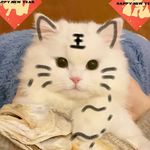 卖瓜子的老大妈