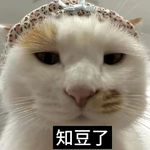 小鹅多比