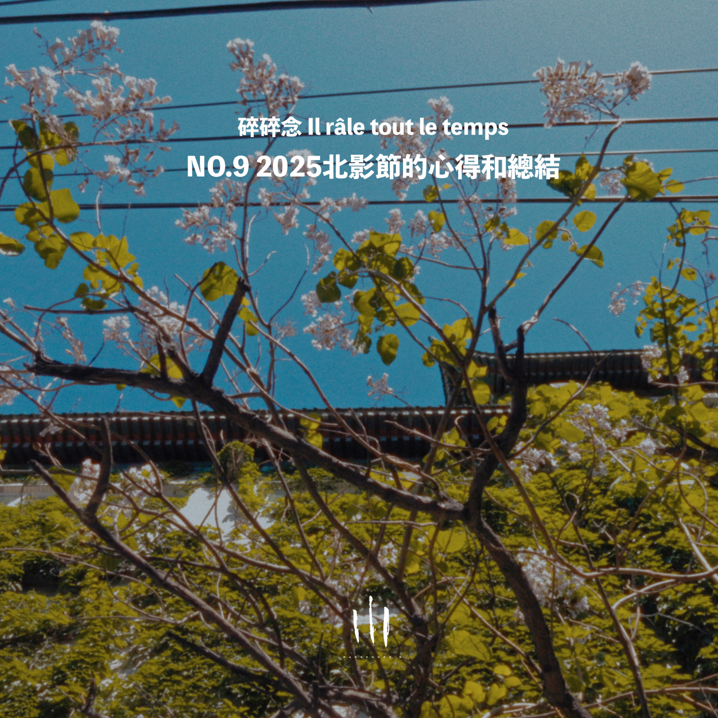 【碎碎念】2025北影节后的心得和总结 episode artwork