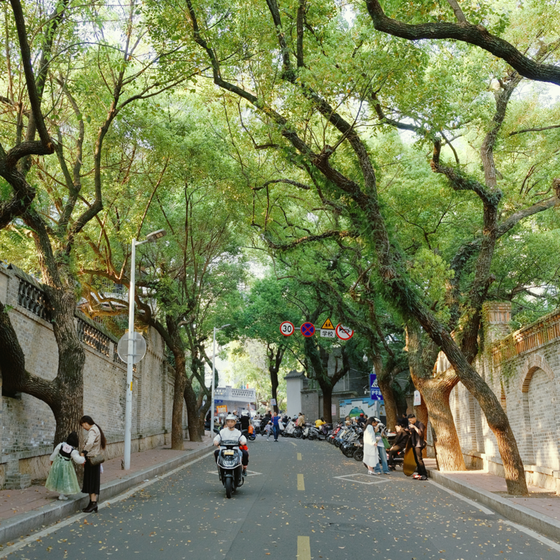 02.家园编辑部的春夏散步(附福州小众散步路线) Episode cover