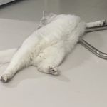 小王不懂
