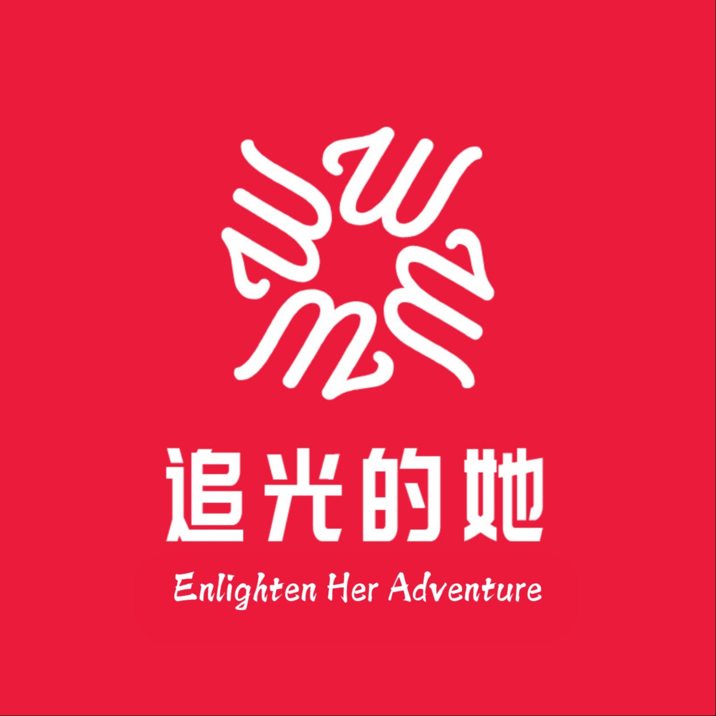追光的她