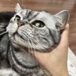 贾森基德患得患失