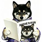 安安姐
