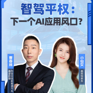 智驾平权会是下一个AI应用风口吗？