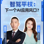 智驾平权会是下一个AI应用风口吗？