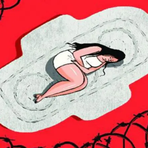 EP12 一个女性的卫生用品消费史