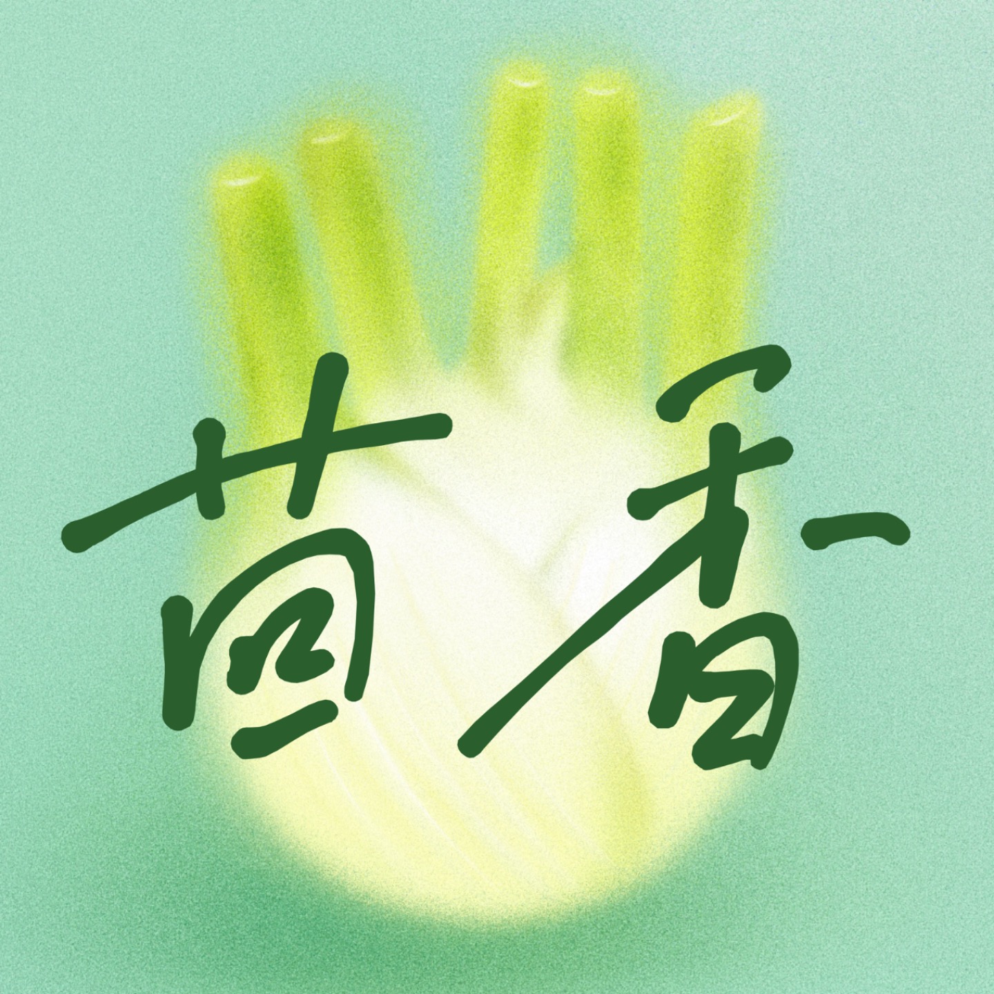 茴香