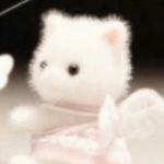 谢谢你我不吃