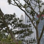 小杨没理想