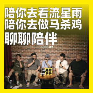 198.陪你去看流星雨，陪你去做马杀鸡：聊聊陪伴