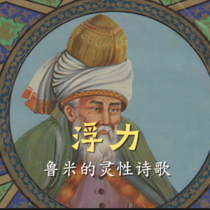 鲁米：我一见到你，就变成了虚空（浮力）