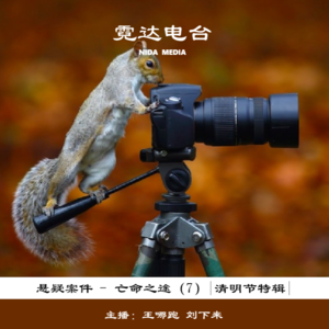 43. 亡命之“途”（6）：在旅行中拍下人生最后一张照片|清明小短假特辑