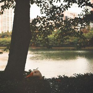 podcaster-avatar