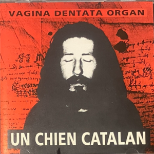 333 我也想变笨一点