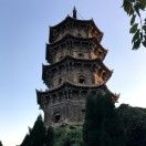 灰灰_wSnw