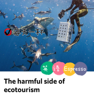 【150】生态旅游的弊端