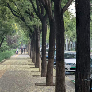 16-听 于女士 讲几十年前的故事