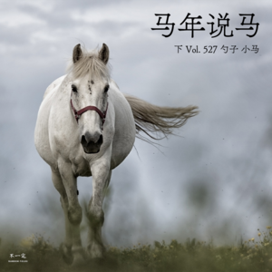 Vol. 527 马年说马（下）