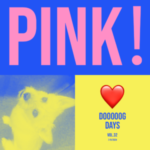 vol.32：大杯的爱，好过大杯的悲