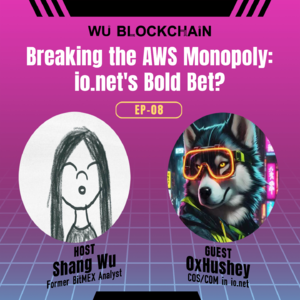 EP-08 Breaking the AWS Monopoly: io.net's Bold Bet?
