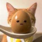 一片呱鸣