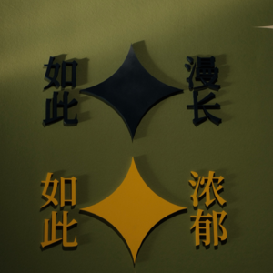 vol.9 黄永玉《沿着塞纳河到翡冷翠》：漫长而浓郁的一生，活的够久仇恨也会像一缕轻烟