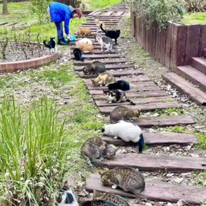 第95期【一起聊】感受土耳其职场：热情与高效的差异碰撞