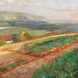 18. 稻草人/李娟《遥远的向日葵地》