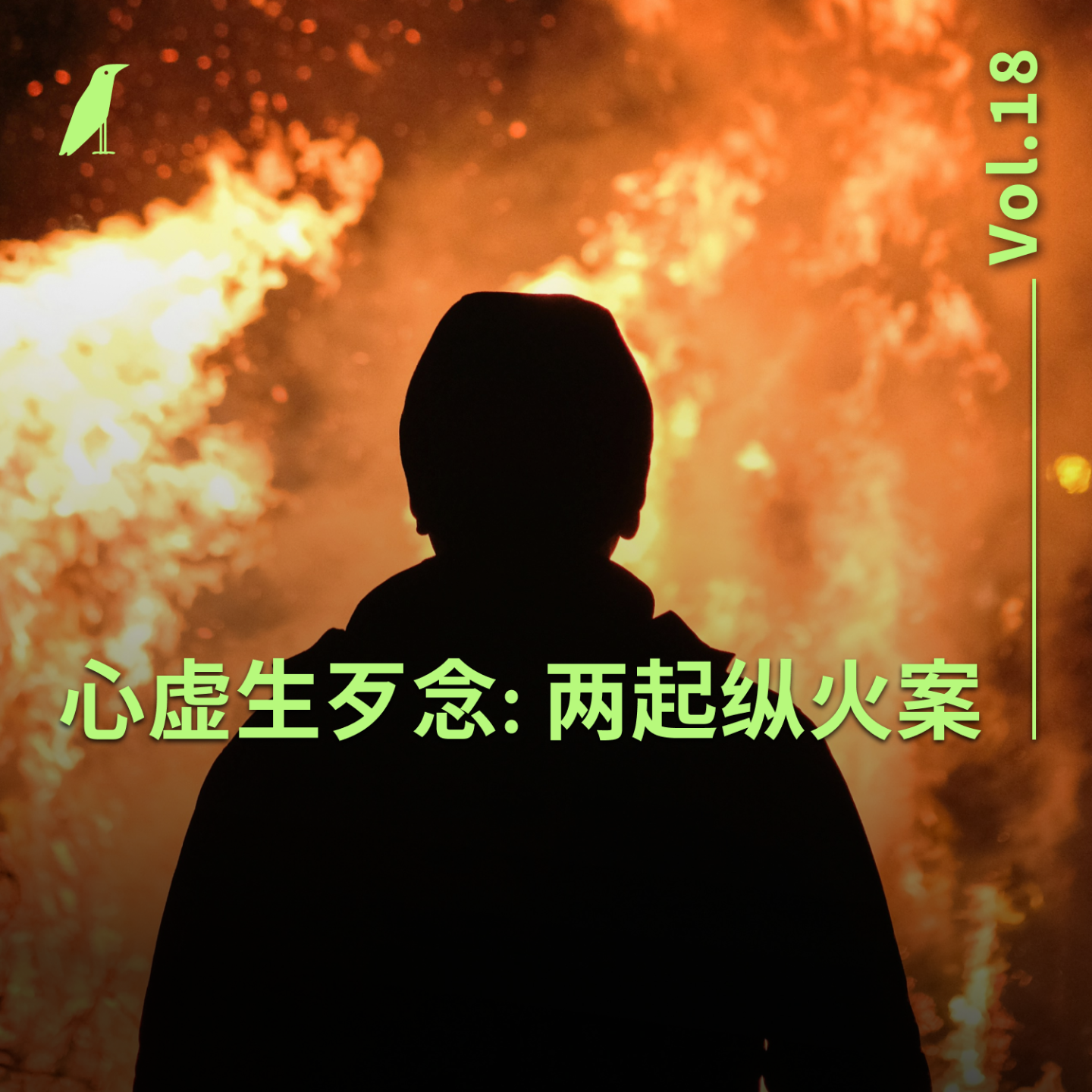 cover of episode 018 心虚生歹念：两起纵火案