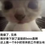 DustCat