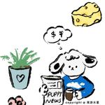 在混沌中前行