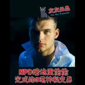 NPD暗地里偷偷完成的3笔神秘交易