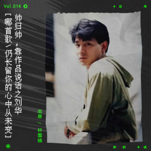 vol.14 感谢这个世界上有一个刘德华