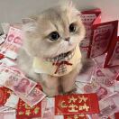 璐丶大發