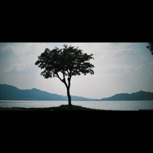 No. 1 用“不作为”的心态做好每一次灾后重建。