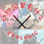 为啥全球疯嗑《巅峰对决》？听完这期全get