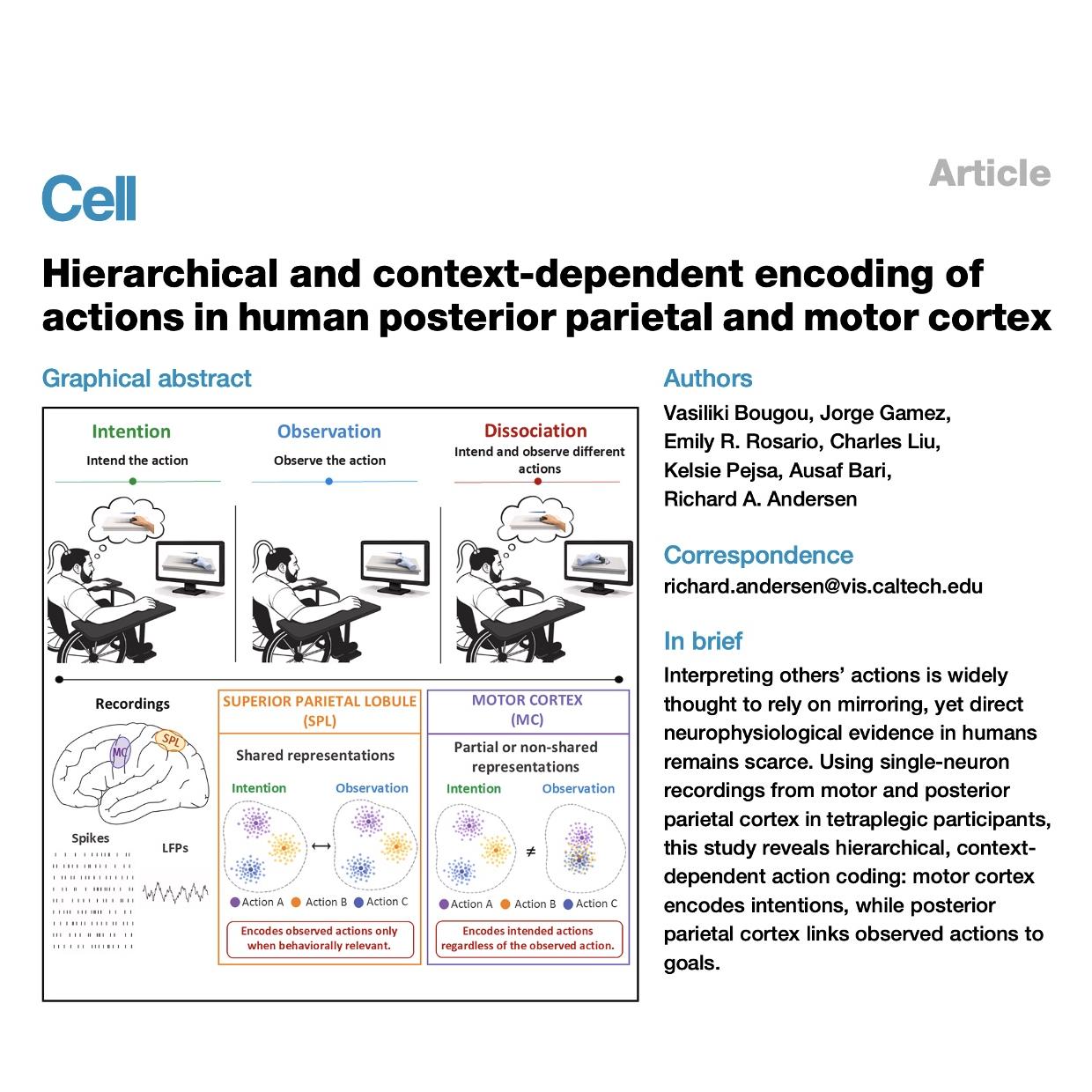 1508-Context-Dependent Action Encoding in Human Cortex episode artwork