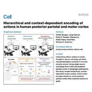 1508-Context-Dependent Action Encoding in Human Cortex