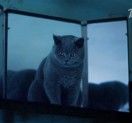 猫又_xIRx