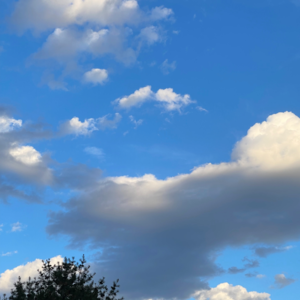 23.6.10 前年险些失业的水水,开始了她的 gap year