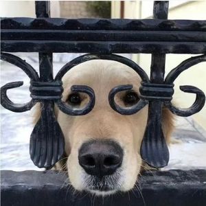 不浓眉也不大眼