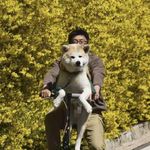 小山啊
