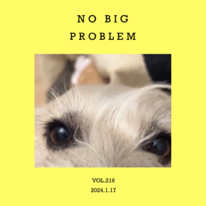 vol.216：傻子算卦，问题不大～