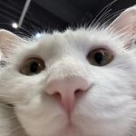 肉肉_3rg2